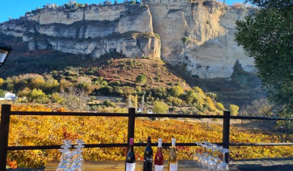 La Bodega Gonzalo Beltrán ha sido reconocida en la categoría empresarial.