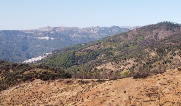 La operación "Abulaga" se inició gracias a la comunicación de los agentes de medioambiente.