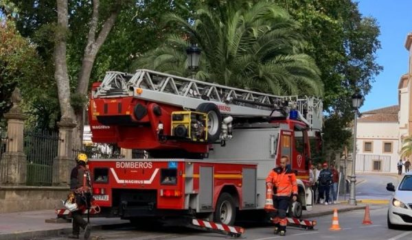 La Alameda del Tajo permanece cerrada en la jornada de hoy