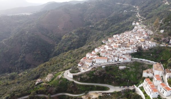 La vía de saca tendrá una longitud de alrededor de un kilómetro y facilitará el acceso para el aprovechamiento del monte público