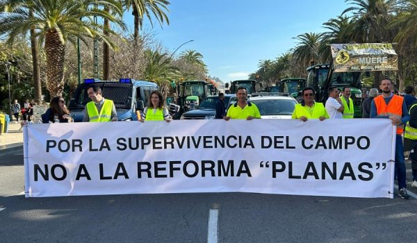 Los protestantes han provocado el corte al tráfico de la Alameda Principal y del Paseo del Parque