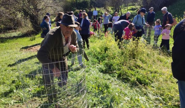 Abuelos y nietos han disfrutado de una jornada en la que han aprendido y recordado cómo se realiza la replantación de una especie.
