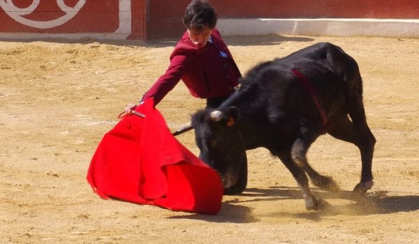 Candelas durante su participación en el concurso taurino.