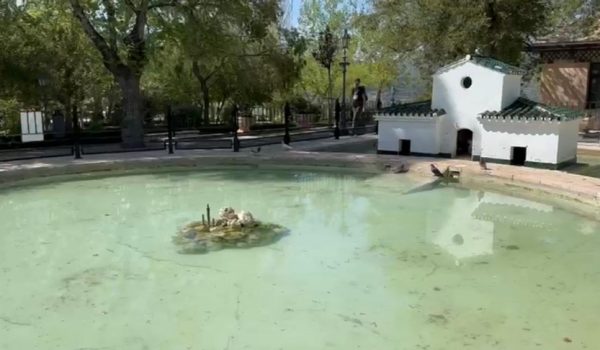 Los animales han sido atacados esta madrugada, según han informado desde la Delegación de Parques y Jardines.