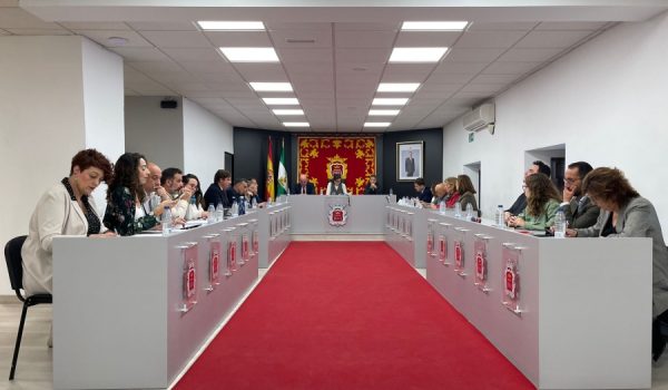 Imagen del pleno ordinario de abril