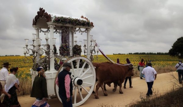 Imagen de la carreta del Simpecado camino de la Ermita de San Diego en 2023.