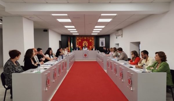 Imagen del pleno ordinario