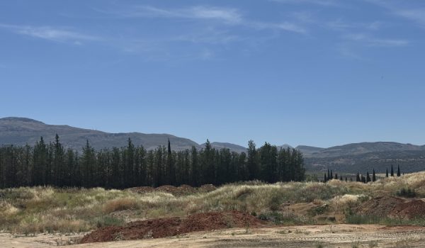 La mayor parte de los terrenos ha sido adquirida por Mercadona