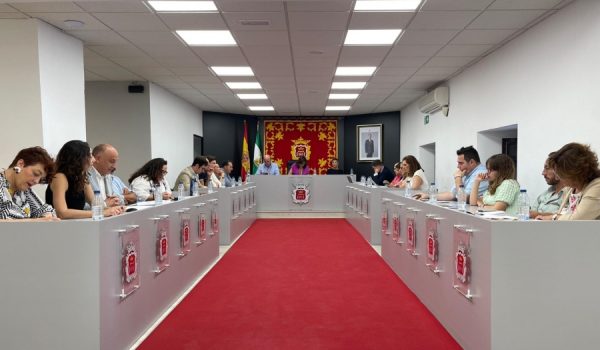 Imagen del pleno ordinario del mes de junio