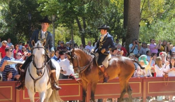Imagen de uno de los espectáculos ecuestres celebrados en la edición de este año en la plaza Duquesa de Parcent