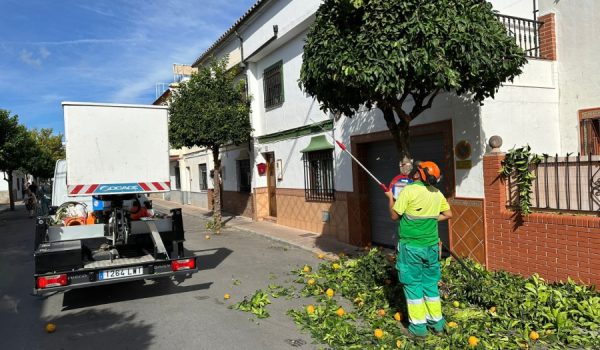 Las solicitudes podrán presentarse hasta el 6 de agosto, inclusive