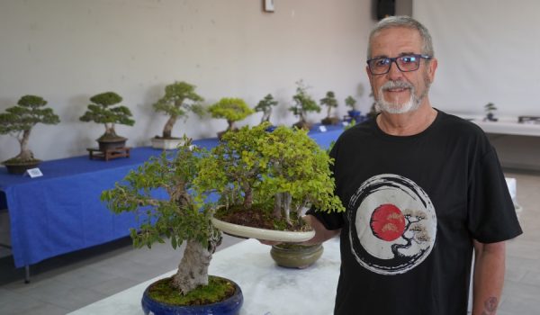 Emiliano Ruiz posa con uno de sus bonsáis