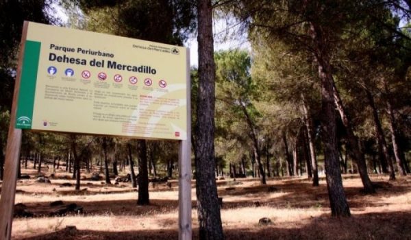 Los trabajos tendrán una duración estimada de un año