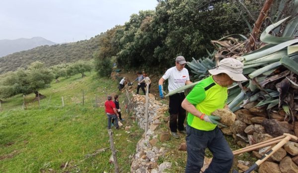 La Asociación por los Caminos Públicos de la Serranía de Ronda ha sido reconocida en la categoría Asociativa.