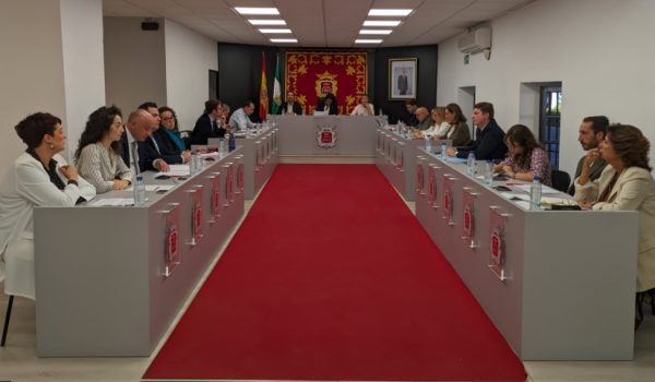 Imagen del pleno ordinario de septiembre