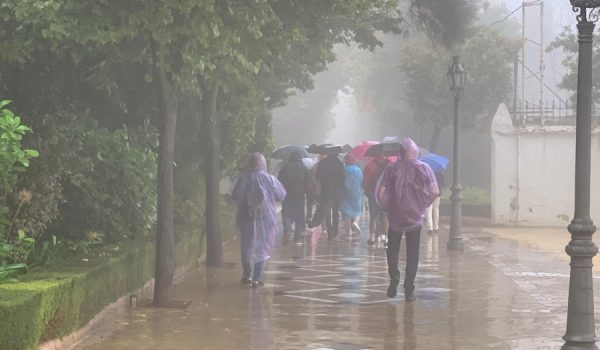 Turistas esta mañana en la Alameda del Tajo