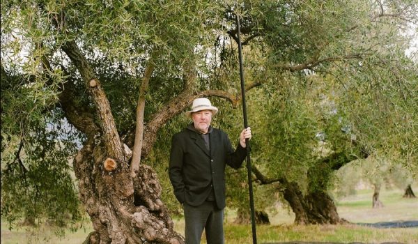 El proyecto muestra como se cultiva y se produce el aceite, desde que la aceituna nace en el olivo