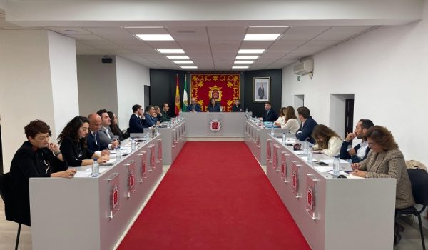 Imagen del pleno ordinario de octubre