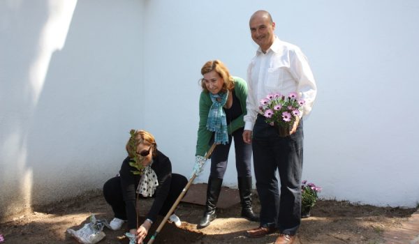 El Ayuntamiento aporta la vegetación, mientras que los vecinos se encargarán del mantenimiento.