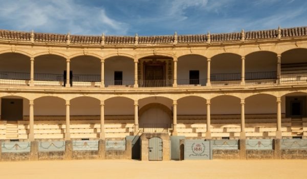 Según los estudios técnicos realizados, es necesario instalar una estructura metálica en la Plaza de Toros que estabilice elementos estructurales del edificio y garantice su durabilidad a largo plazo.