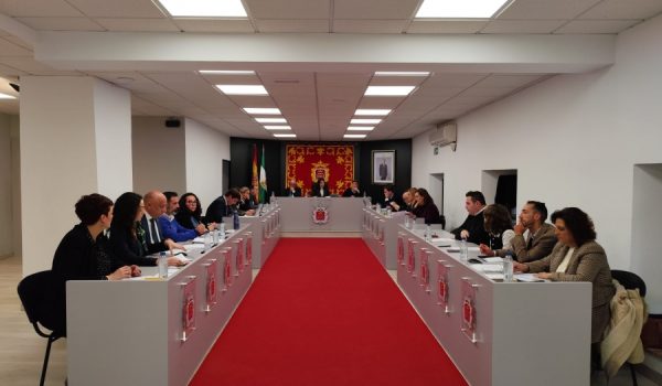 Imagen del pleno ordinario