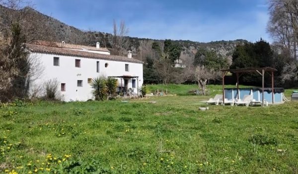 Esta huerta, ubicada en la Estación de Benaoján, se vio afectada por una crecida desbordada del río Guadiaro.