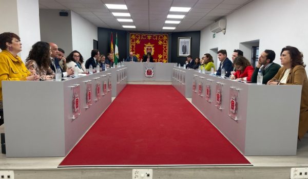 Imagen del pleno ordinario