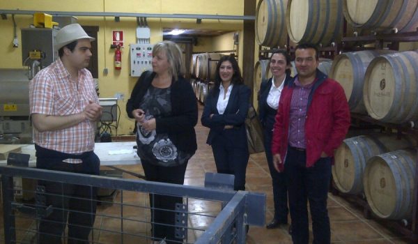 El vino “Los frutales garnacha 2010” ha obtenido el premio Estrella de oro 2012 y el gran Ecovino de oro 2012 de La Rioja.