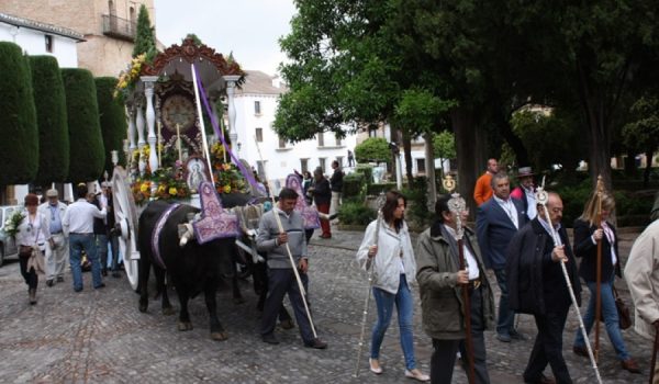 La Hermandad iniciaba su peregrinaje hacia la aldea de la Blanca Paloma el pasado domingo.