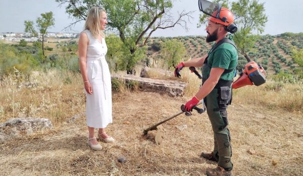 Lleva a cabo el desbroce y limpieza del recinto que alberga estos importantes restos arqueológicos prehistóricos