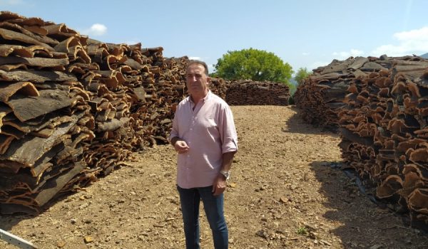 EL concejal Juan Carlos González ha recodado que el Ayuntamiento de Ronda cuenta con 2.000 hectáreas en el término del Parque Natural de Los Alcornocales en el que se realizan habitualmente trabajos de mantenimiento.