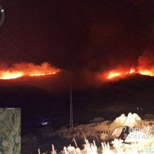 El incendio podría haber sido provocado