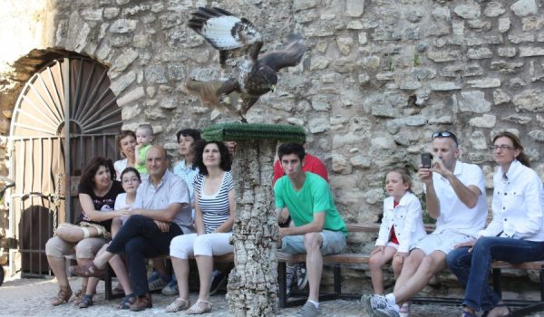 El espectáculo permite ver de cerca aves de la Serranía de Ronda.