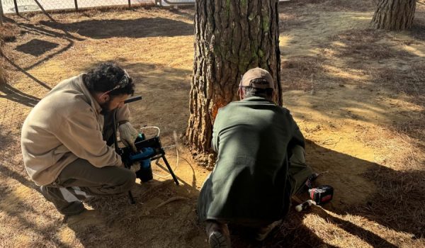 La actuación ha comenzado en el parque canino del polígono industrial El Fuerte